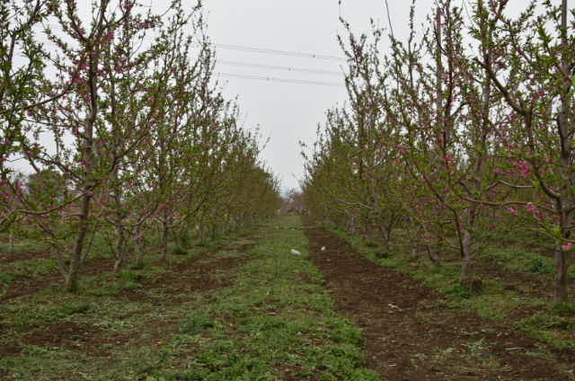 pSN_InWfA9i82ugs2MnKOe4ADbaTpuDMGBDx21CKr_QfQa_Q0TDWT1NIRAsQPhIG