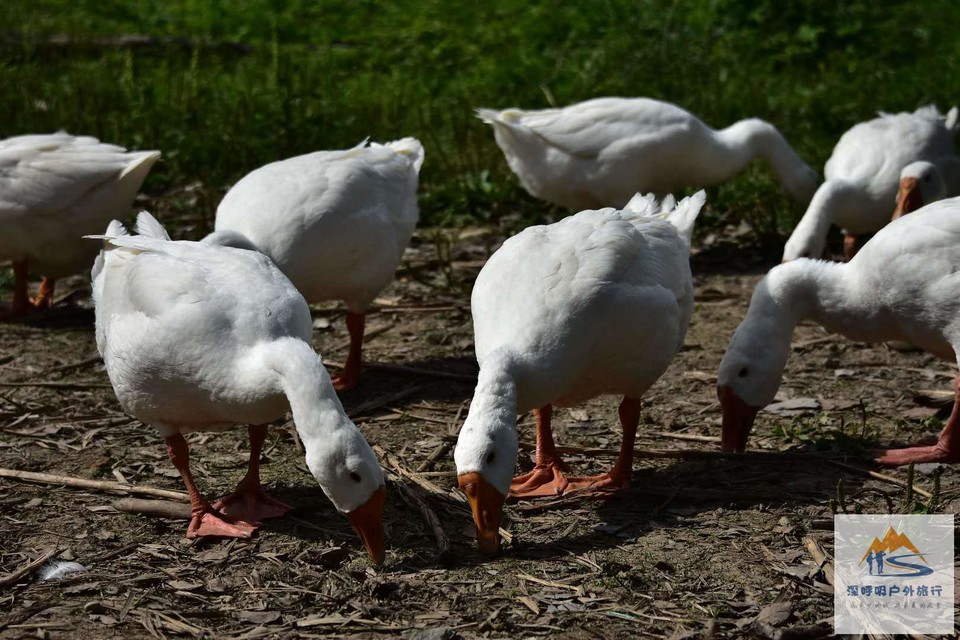 -yTvWsRjhFBiGbn8rUh8ai3L2GlONJIKgTROMCLKYX6aWq84IQJhdgIafAbvSdNm