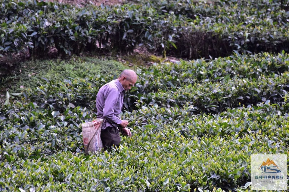 ynRltP8uQDz22gu_rBUoFYYD22FcxebnkxoielvHIYedFCkwApJ7desM4OqsCIf1