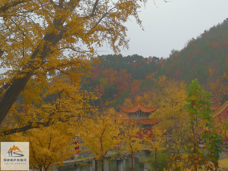 aVl5aDa7LP2a-42DNmCUUeIXaZi5ojT-LP3FIPvYyDsoS1bWZ0M4You9Hr4kSo8E