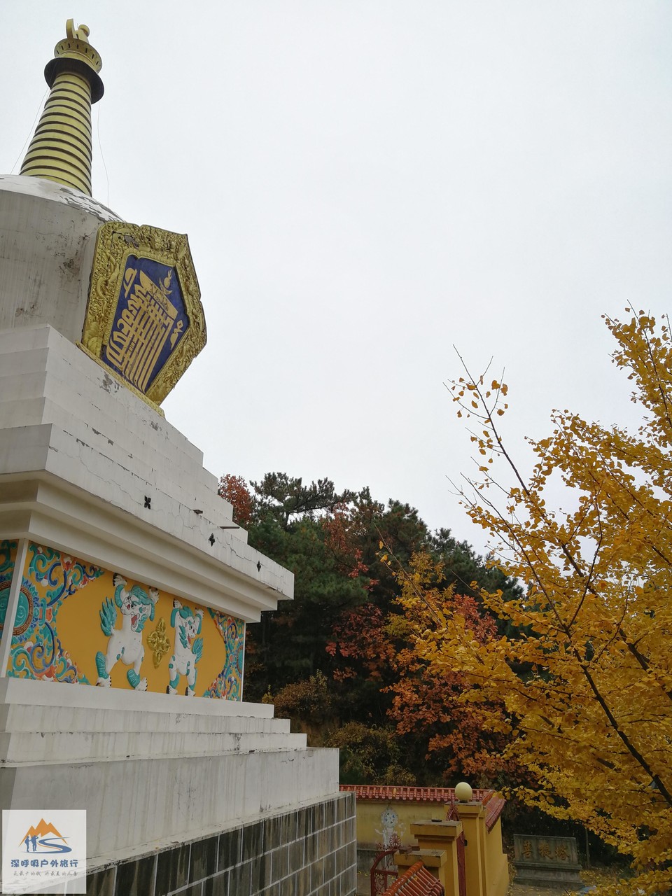 CLERacgpQ6zUN3OmfhJaKWv1-2kzyrm6qoDy6v1T4pGBom2i_PlJalkryNbki2YQ