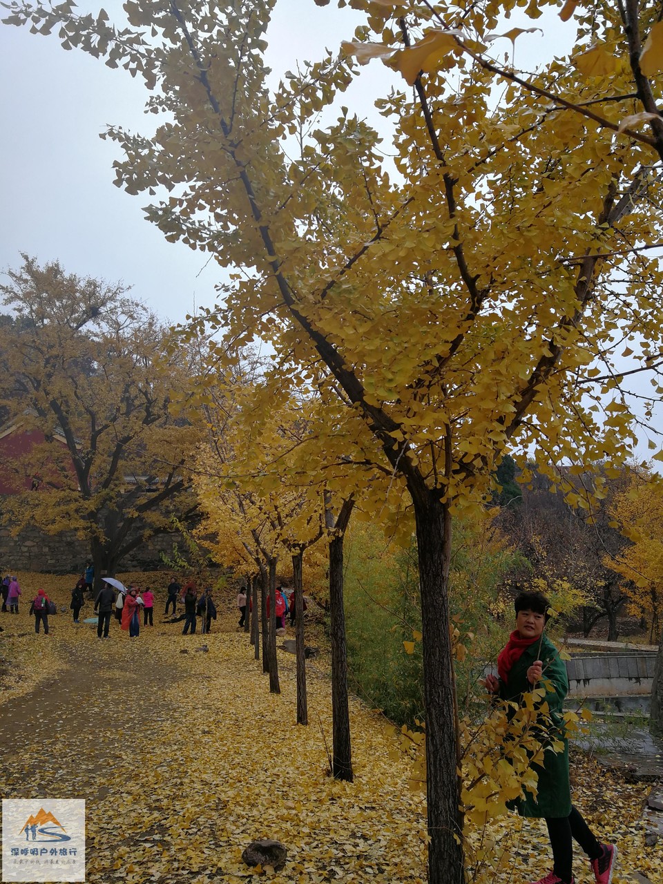 YqpuvtfDXEdpi4Lb0OQWDXmqzpPMfvHOaJpm_1t-uDGpC4snxggmgvrkJV69-skF