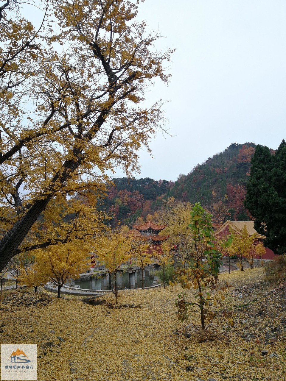 S_4UG_759Y97Gv6eqnup4kK58d8D3h1aVDI5YF4GXlmkg-cDyXbgGPO-c_K0ZUUe