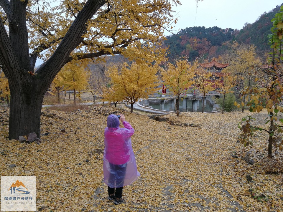 GmiYRK50a5JiwVqLgMyUiUxpUHdzO4B2WK9xVTwCcB0WHWX1uUORuhMuA7vTrski