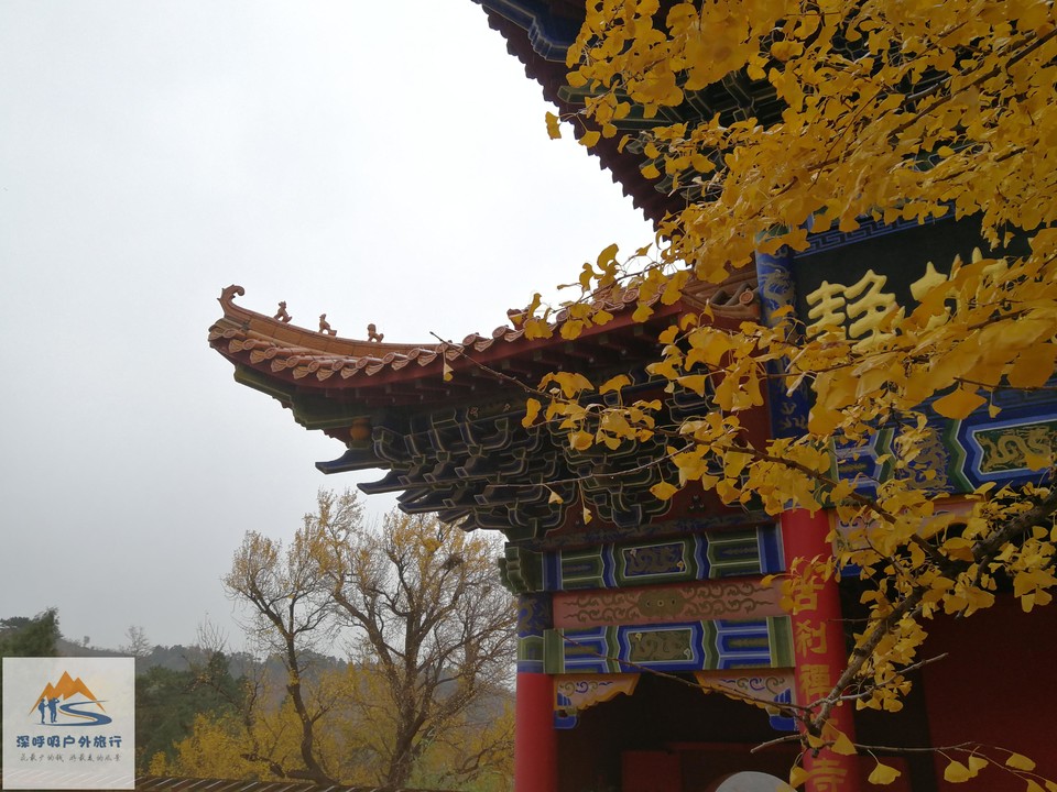 bcVrio5Hj3Bw3Mj9shN2en7Y7wtCaNKlj7s_WmDtq5PQ3ln_3O-BdN_0fQ-eus3J