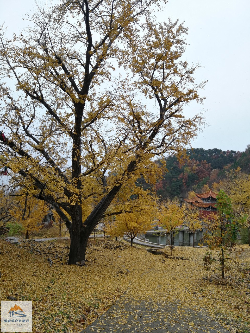 FJo6Af3rSUVJg484FNbqCSOxILuyRVXAPASd0oTxKvwVgWZ5zcyCG4p_jL5SFsbF