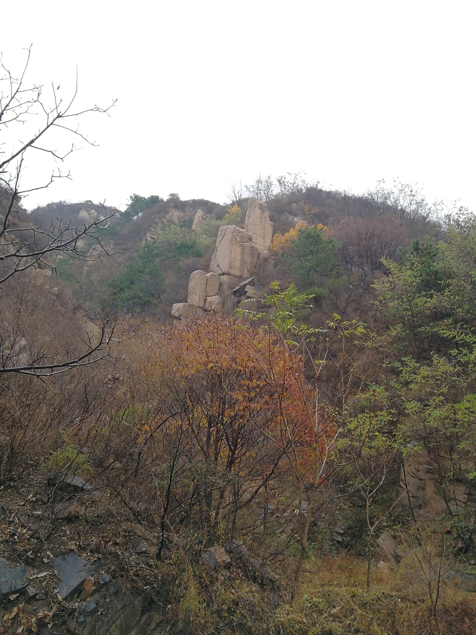 f3jbUdZPj4c32_zNG5xB1oGQzV1lv5Rn9xv5x5tjtWR9fitYTZY6QHgRtk1P-aur