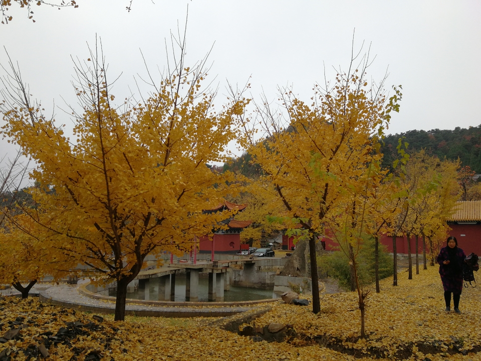 E_djODMw3DW-tfyz3ZymX2nQy63GCTHOt-ZdpOF3Y-uMXLmlqW6_WOcnRsgshzrP