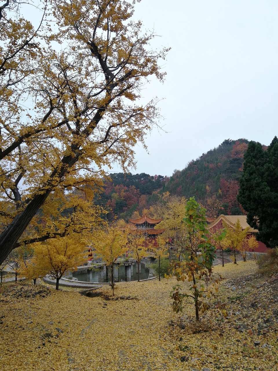 idsRs23ZDEnYmMufNI7ZM0YrWq5blEGONW2YH8rWSq0Ss43zY1ut6tUxeR2uTHlY