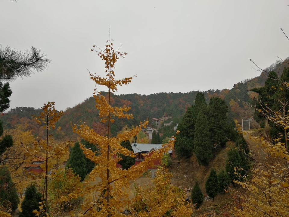 wPZUE6GphjUMCySVR9a9rNwCItBu9-rLvbizQ5h-2sSNL8CaEekkkpzZXI5YgtzS