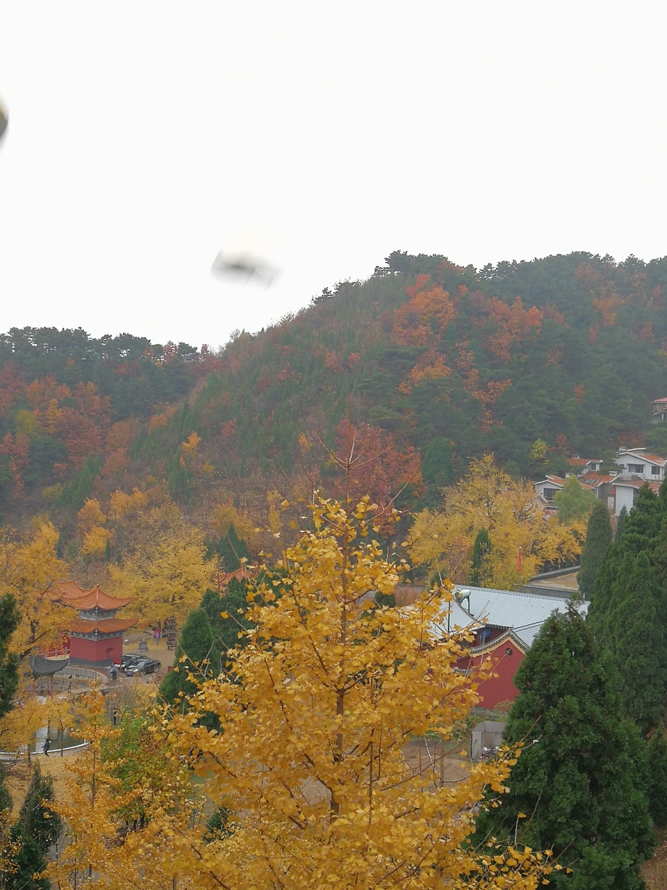 Y6rWuUeokKrnfJqmgi-iPyL018tvz0qBtZmbY9KrYlptkLpT3qLmiJi4mNLmAxqe