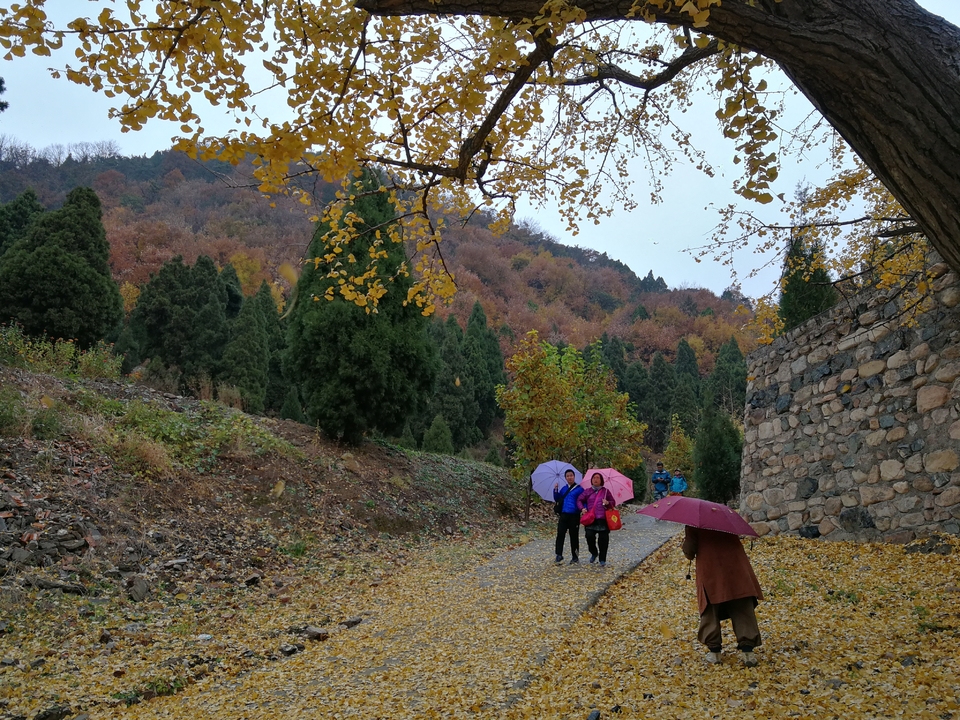 QNv1ndZM1RzdDMvtcRZ3IaucSkQTZcBPjzyrv2dol_CWyUnYqZjZYgV7vBazGSK7