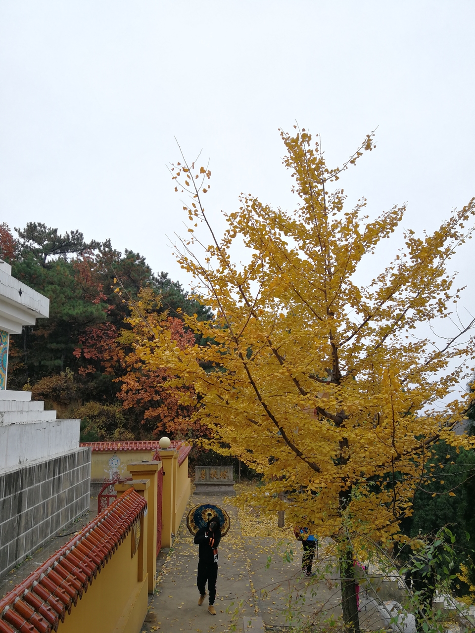 nmLqnF76rzih5Om_pBG2NZ_Kg4UWsV6E1qPy9UCI7sxhS-evPrvJUqumTkArm1to