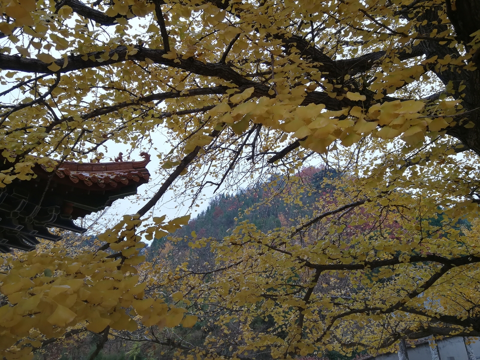 G-qW62bG2B_CClpXDKLrtdQK_Om_LfFcGDtqSwvHGCQDmddXlgJlT34qn6-nsjnw