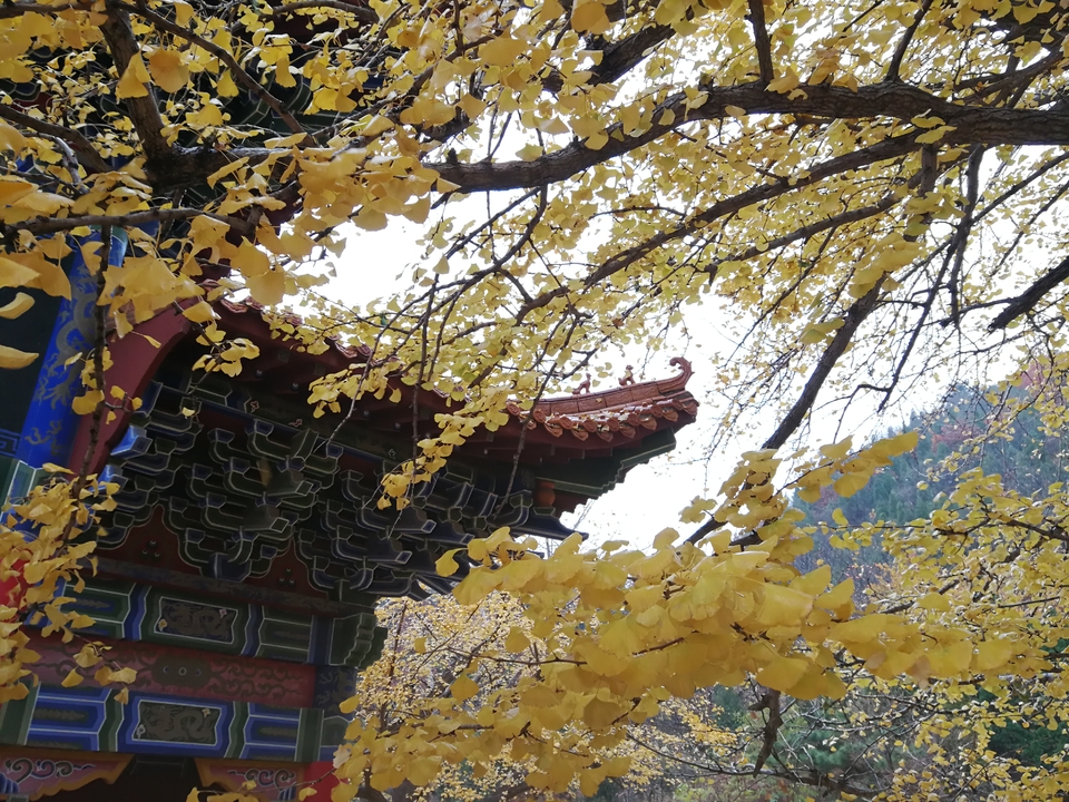 vcjwclj2tN1grBE65NlOw9oezBFnq7XyNVZqP-ZmQtx_5woSFFvjZhton0xjteHu