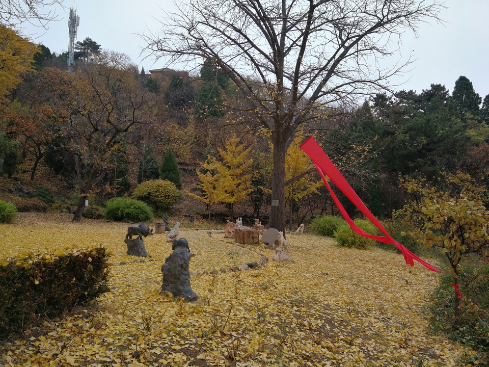 caQWV-YNXCbyvKK8iqq1aYGcAryega40U5xi5LXNNKtv558lgv2hqwLfcxPUQpy9