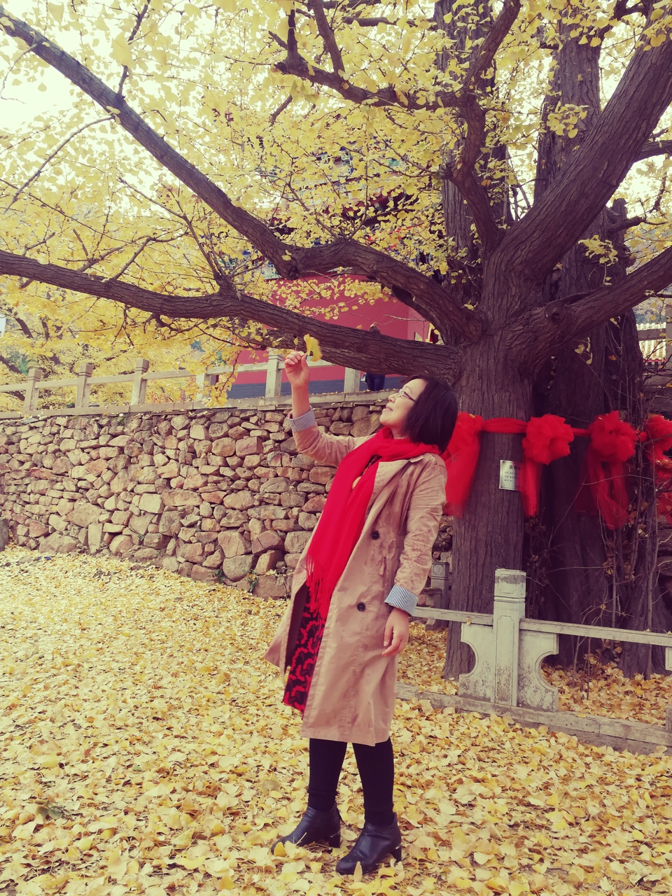 vnATlGtL7GqnQVKtyp0Cg2oUUzq6g2gLU0mC5avcFcSQoknqRcas8Ci6h1HBdXIC