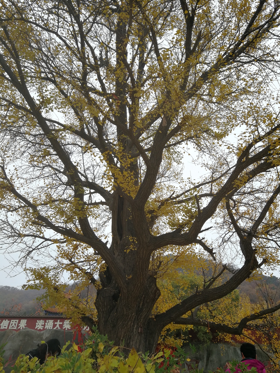 h7J6oPegeEOYXXQbjXbThIqCiH270qK1XyRiF603Hx4x8DST3EoVhFvZZlxkbfV0