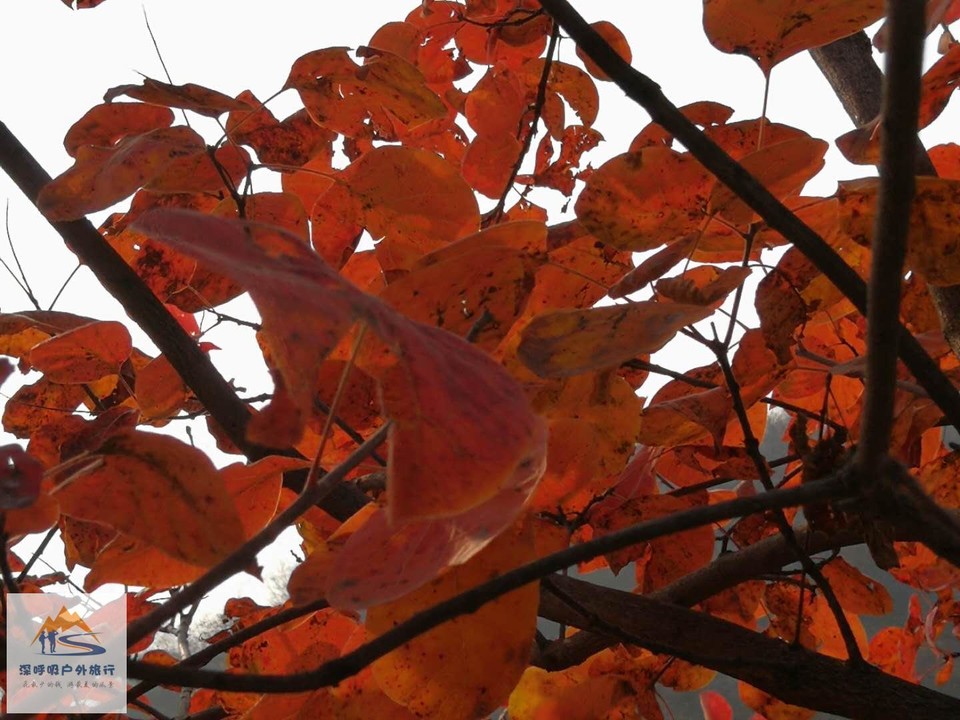 byXZUJ3-nYyUQD4Pmw6MRH5jCjBUxrejlVEj9i6LmiOkB2U4G6Zsdz-R_L9VBw__