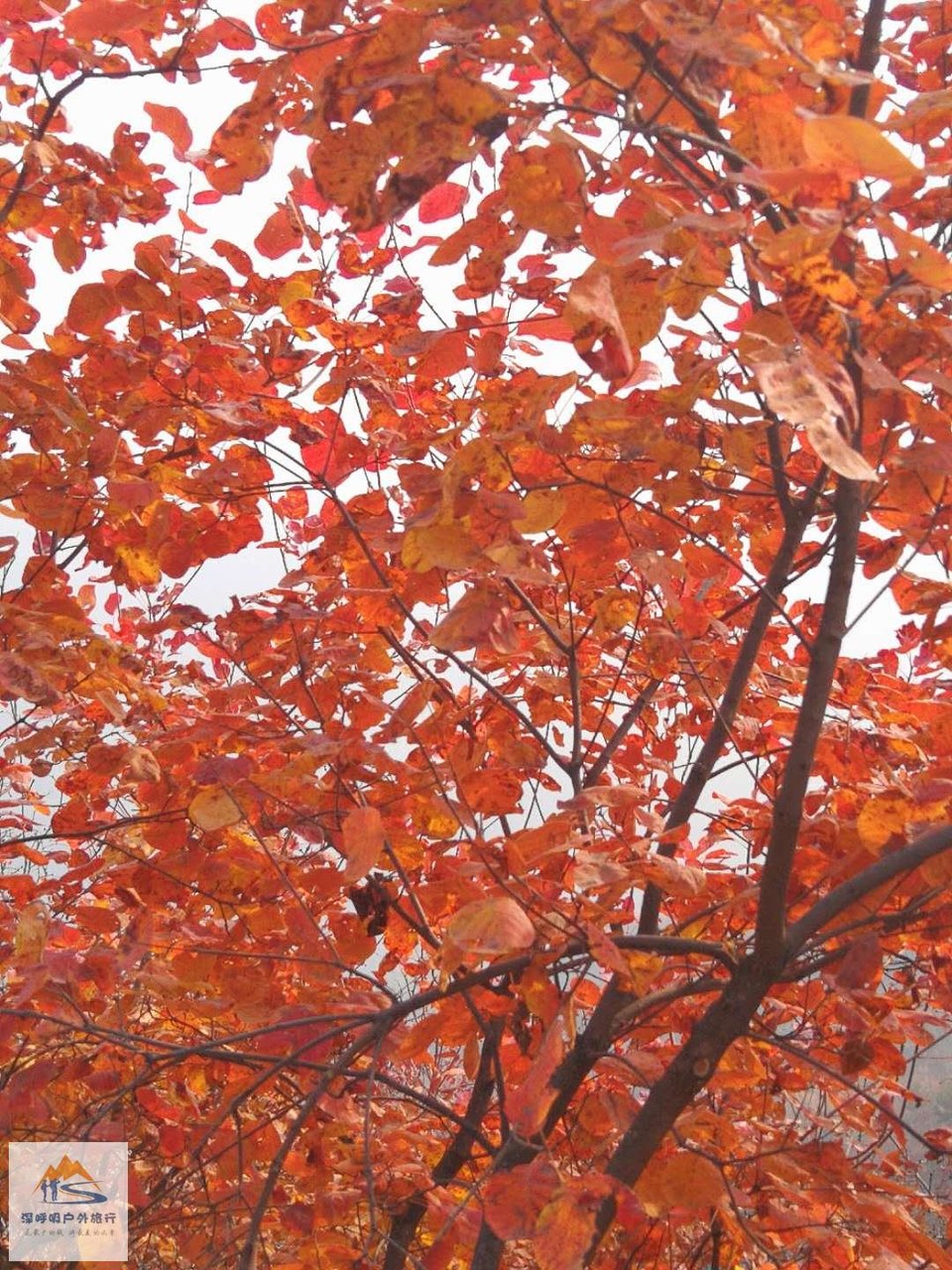 RB0Be0hXVpd-7070RE7HIt1I8rNPFFfVqH7D6Tn4_wpkjCXNxCSJdi9Qj0DDcqko