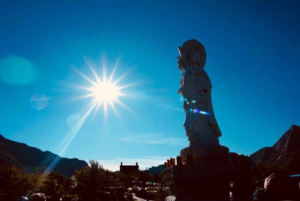 0E2720CE-146B-46D3-96E1-78F6626FFC18