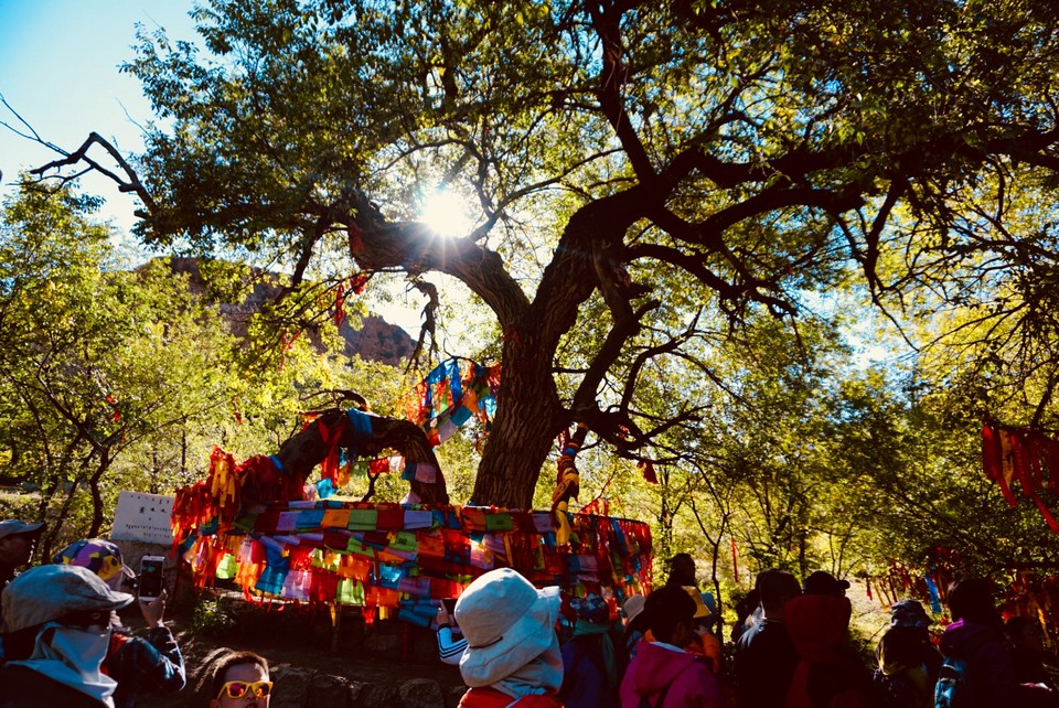 F774A82B-B2D1-4F3E-A7B9-B584B14A170D