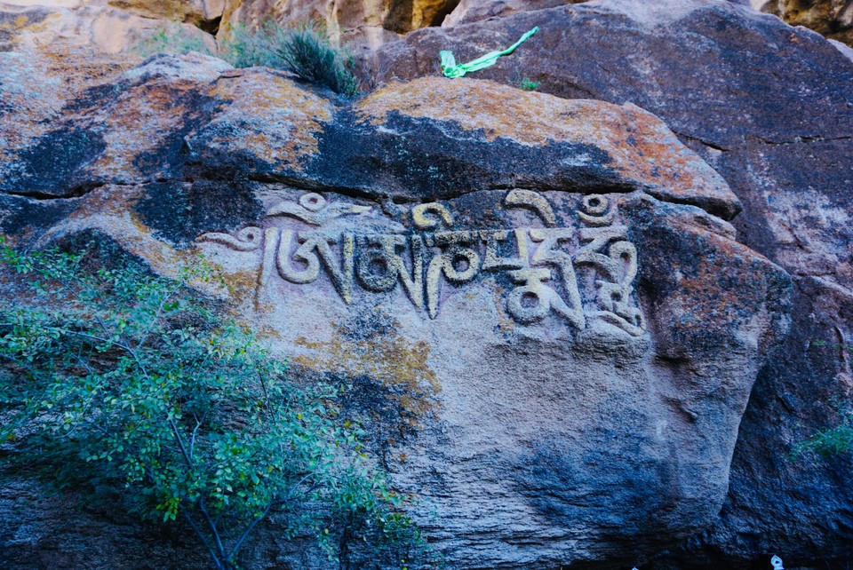 F896476C-147D-40D8-8590-2D7F11D14D66