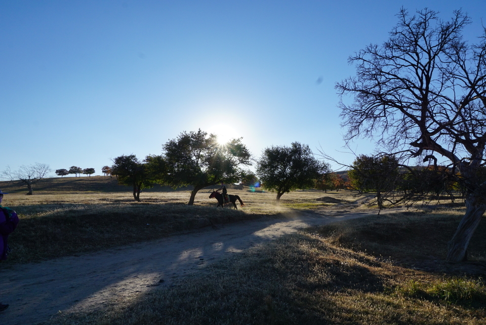 CC149E7B-D691-4F1C-8B1E-7BBB5BE6C689