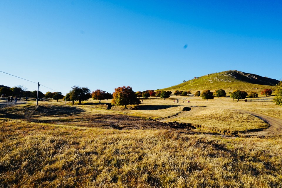 EFAF65CD-97CE-4FBC-AA5C-97DCD97A48EE