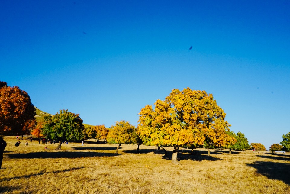 605A56B0-A4E3-4181-B625-A5C341B7AF97