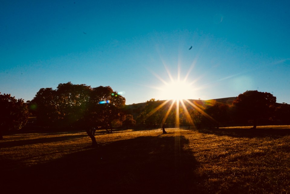 79503021-6903-4FF5-823A-7AC3F3896CA8