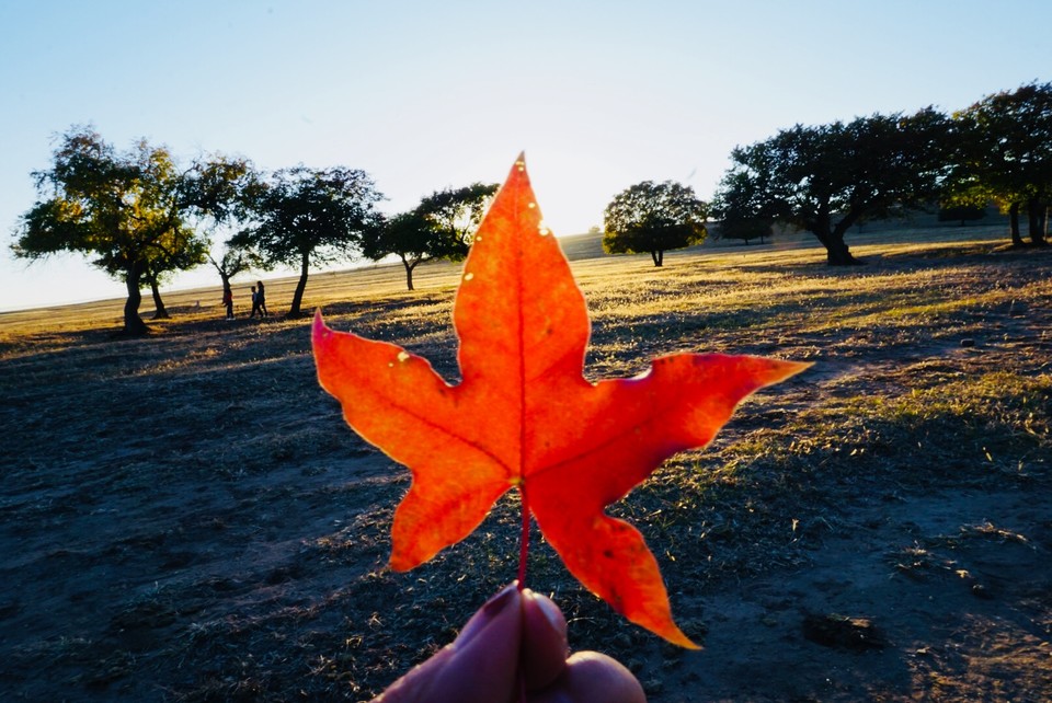 4B4B874C-0AC1-49F4-A436-7E4F9086BB3E