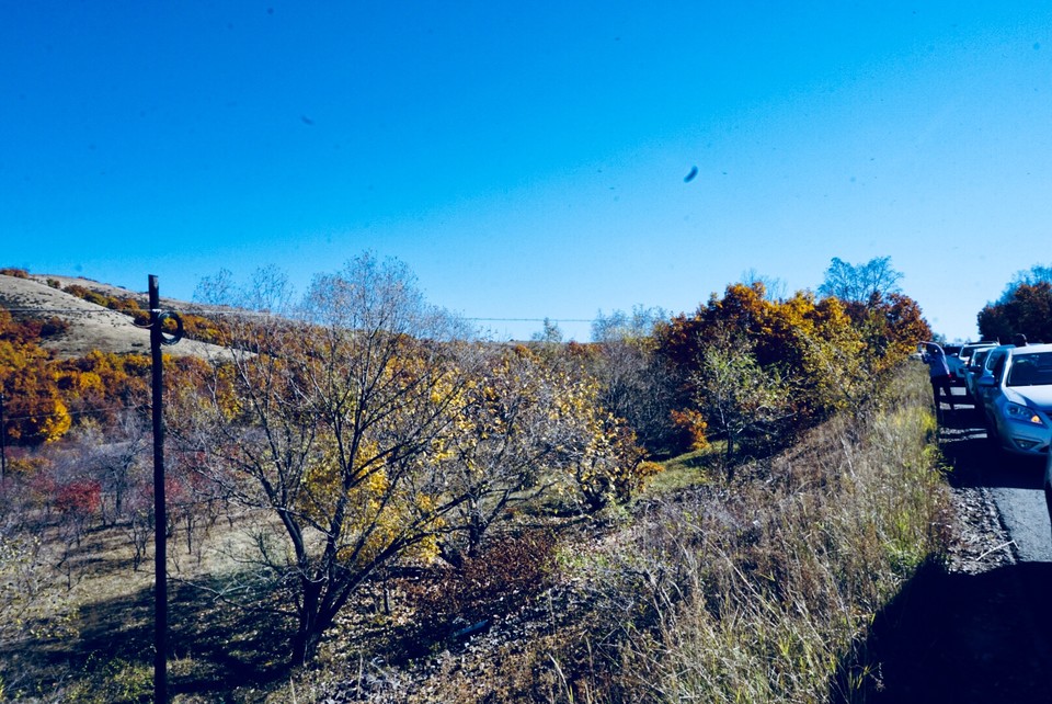 8F46202F-6557-4A96-ACD8-D120961541D0