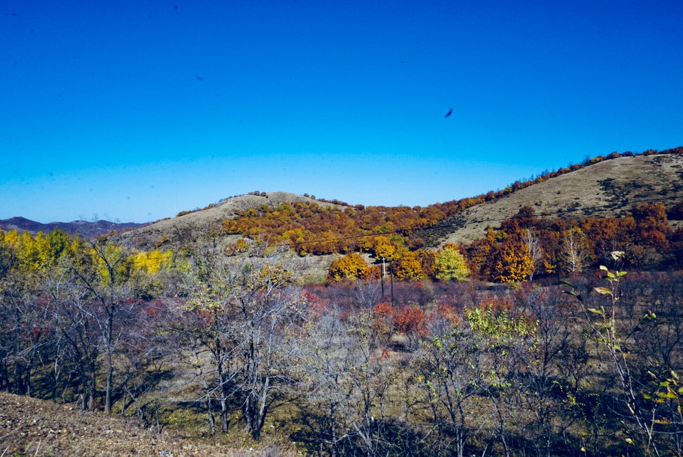 100E81DF-4DCB-4476-8C78-25FA951E2D13