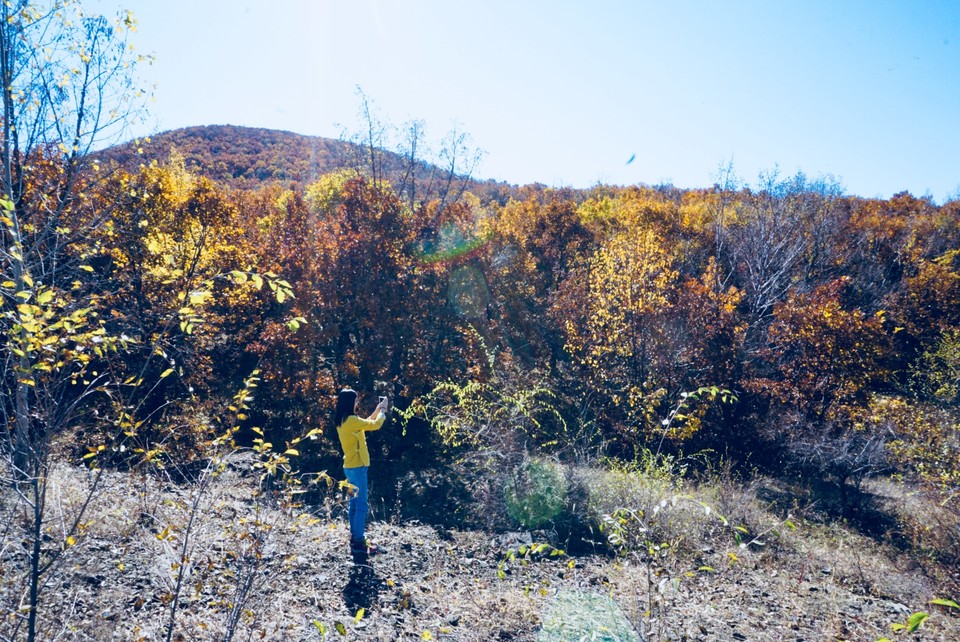 9FF535C0-7114-43B0-ADA8-E674044EB3A7