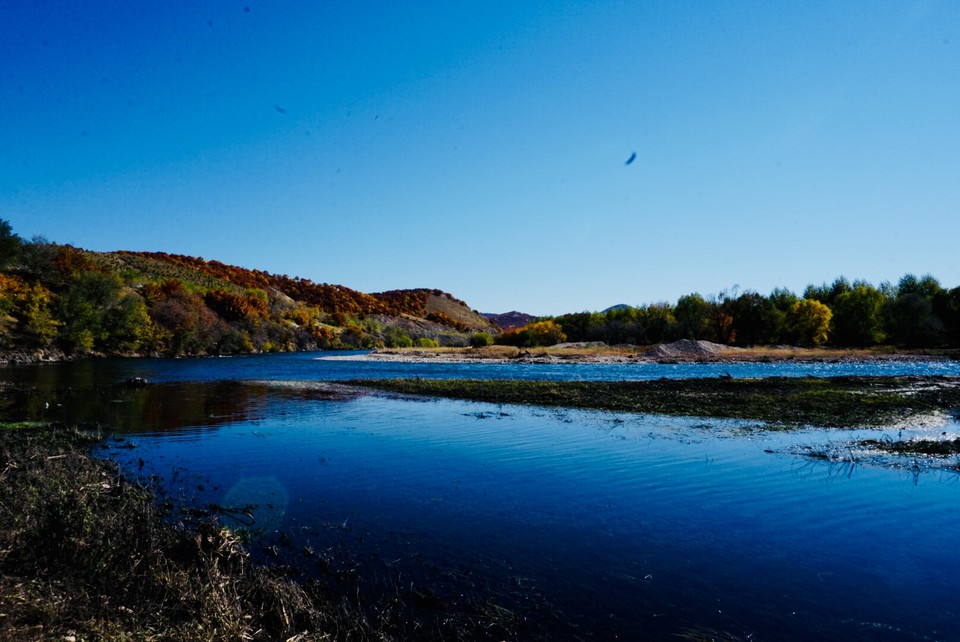 5E818136-6C02-4357-B1B2-2D92C80E852D