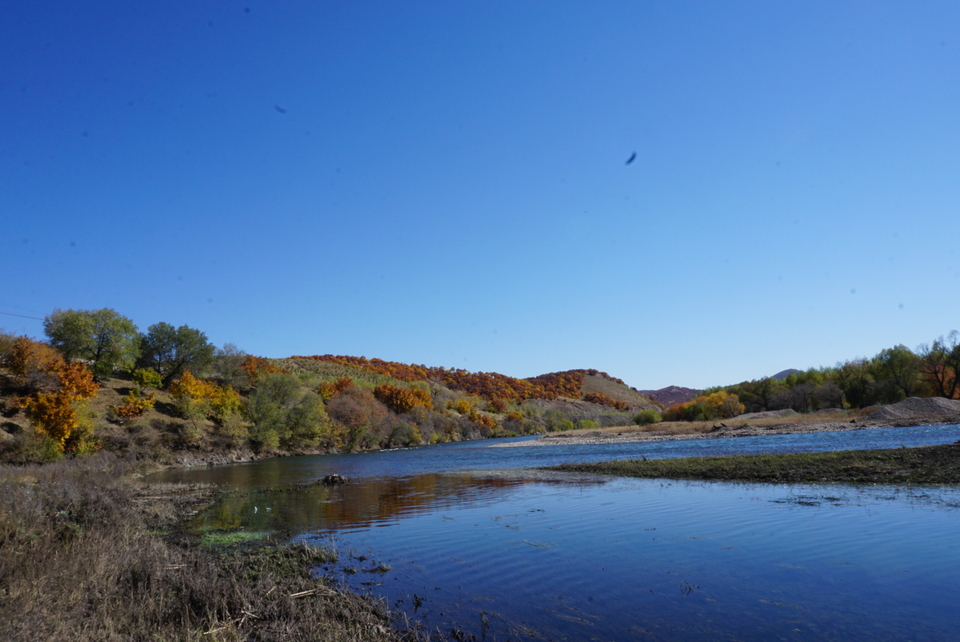 E2477AB6-D8D2-4464-BC63-CE5BD48C6C59