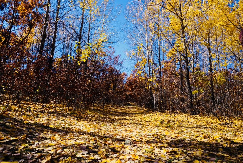 4BA79B70-AB03-4F5F-A2D5-5649F2A547D3