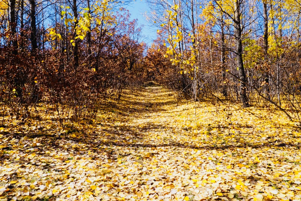 99B63240-C999-41C4-90C3-99228AE4D598