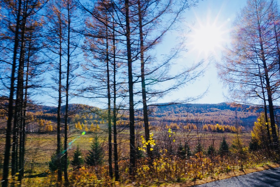 E3EF2155-1CD1-4570-B469-7B2A5568E165