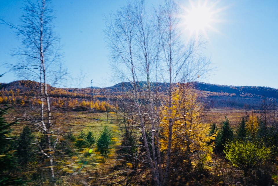 5915B257-6791-47B0-BF1D-926439D7E3EB