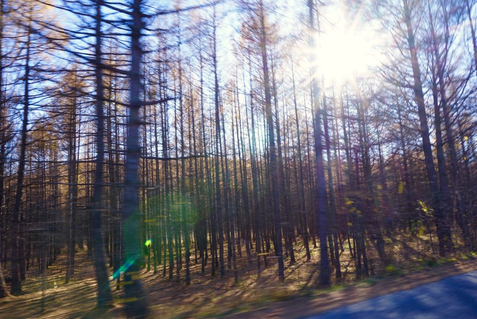 FD34C6A2-AD35-4B1E-A5EE-41F83DAA6FE6