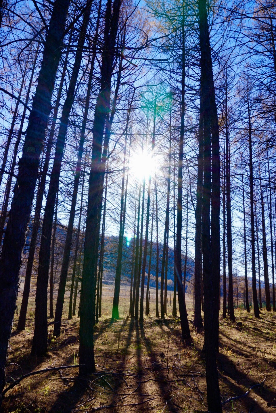 101C29E7-D691-4107-B2C2-B792577C30F6