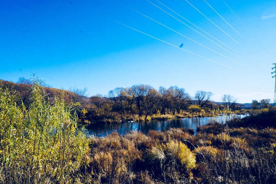 DBC57942-BDEA-4BBF-87E5-570026123AE9