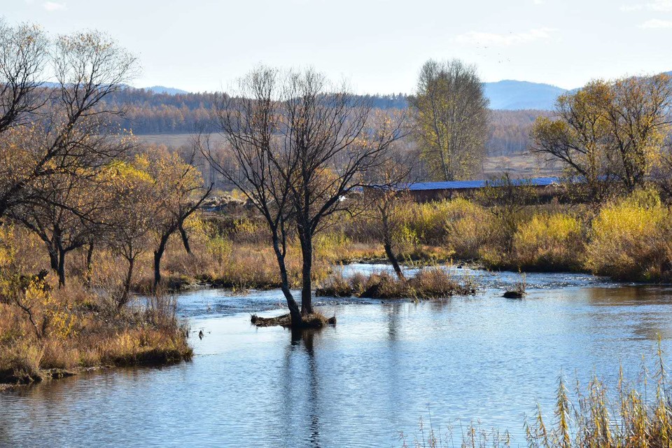 3C87C04F-5505-4667-9B78-62252C7EA5FD