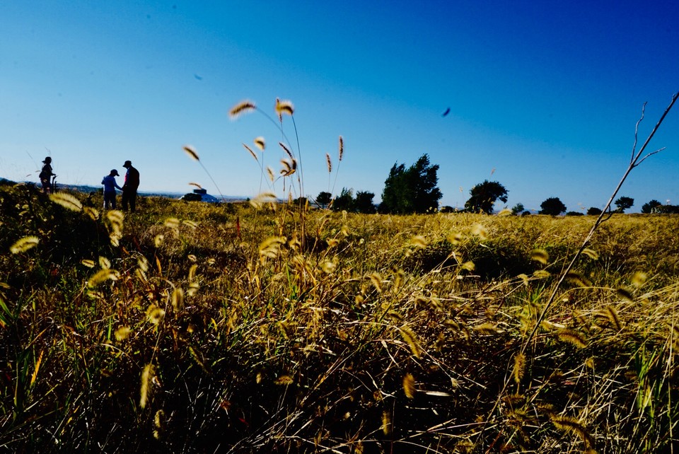 5513211F-FB3B-497F-B0EB-E018BC382EAF