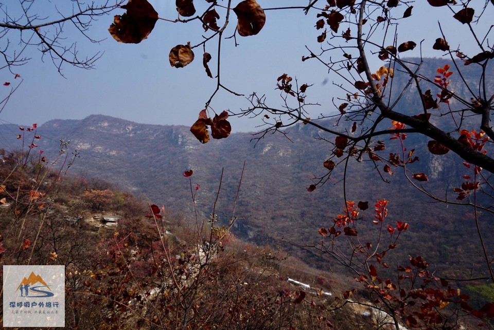 A9027548-FE77-4D74-A654-6F49714A46C3