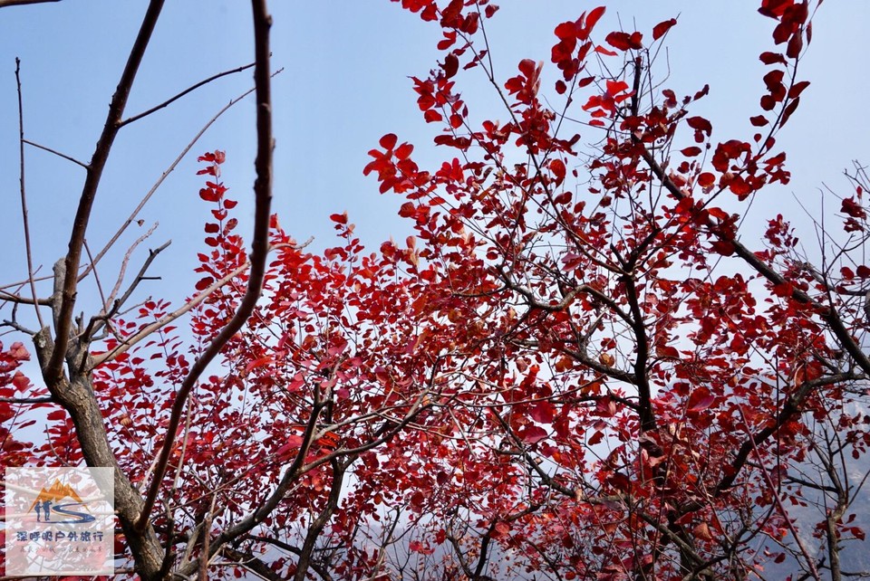 C42F1ADC-907B-4635-89CB-07E4D3BA0646