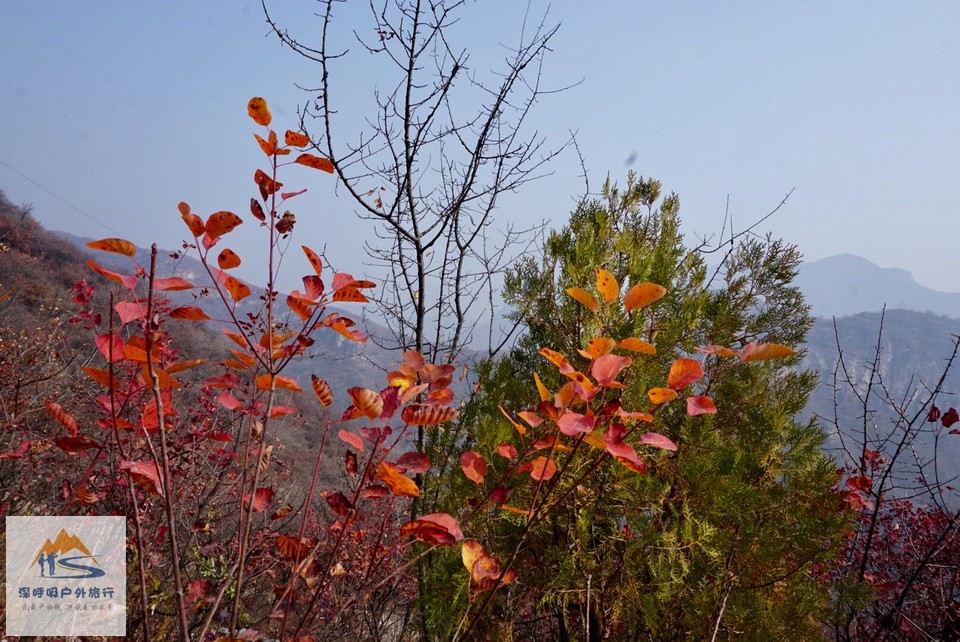 229C8E90-F332-4E12-A2AE-78AF52EBB2C3