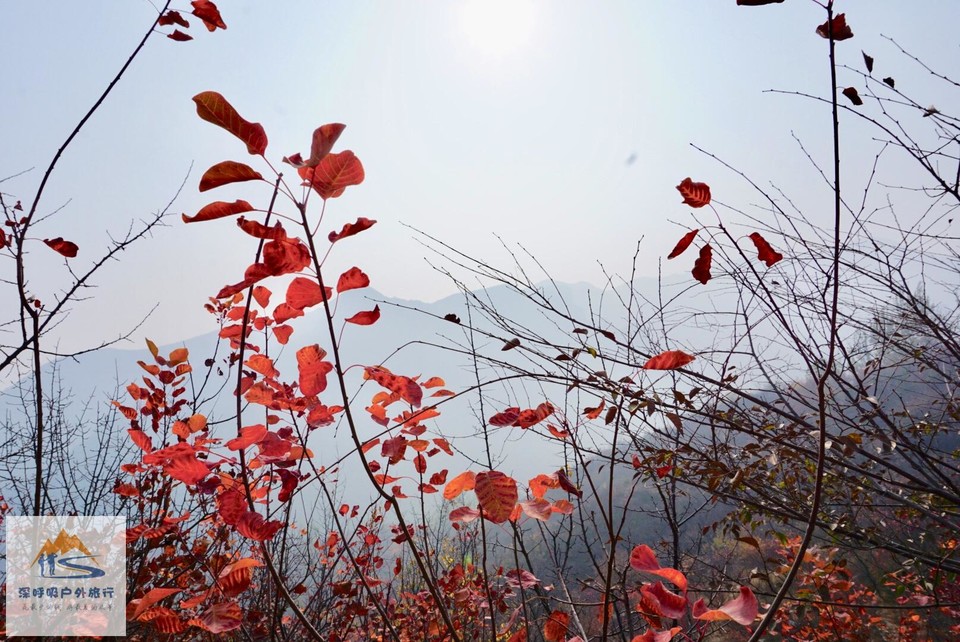 EC6464BE-C275-44C3-AF20-8D2A0F9A6108